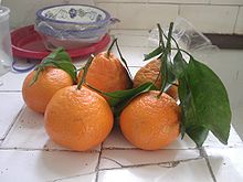 oranžna mandarina